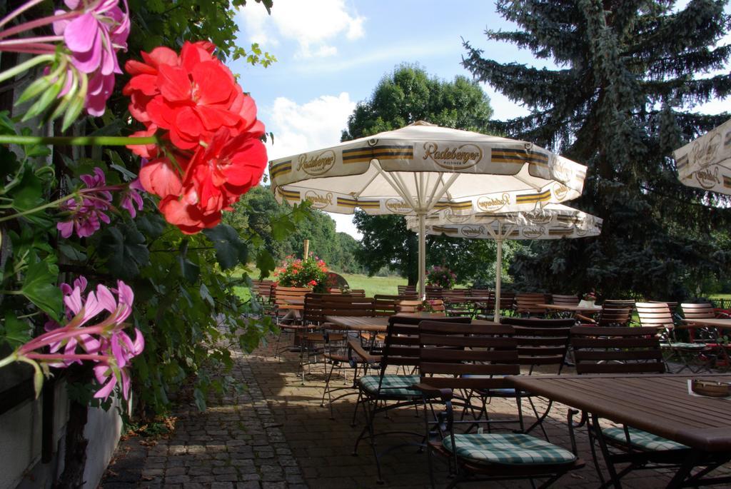 Hotel In Der Muehle Werdau Luaran gambar